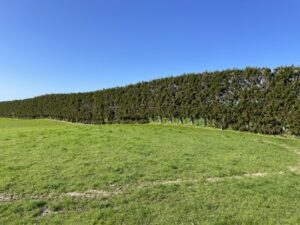 Taranaki's Heritage Railway