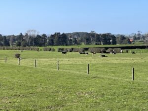 Taranaki's Heritage Railway