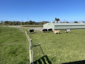 Taranaki's Heritage Railway
