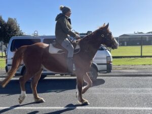 Taranaki's Heritage Railway