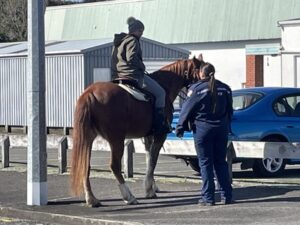 Taranaki's Heritage Railway