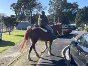 Taranaki's Heritage Railway