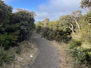 マウント・タラナキの吊り橋
