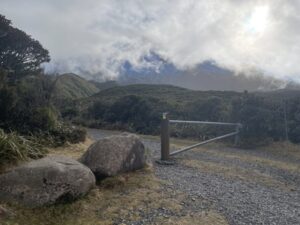 マウント・タラナキの吊り橋