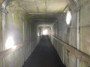 マウント・タラナキの吊り橋