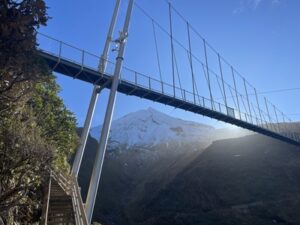 マウント・タラナキの吊り橋