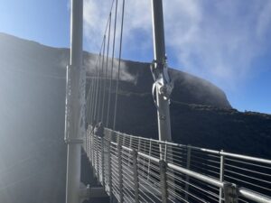 マウント・タラナキの吊り橋