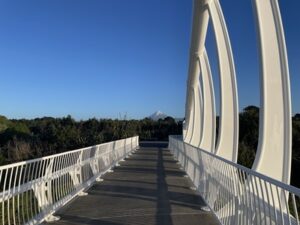 TE REWA REWA BRIDGE