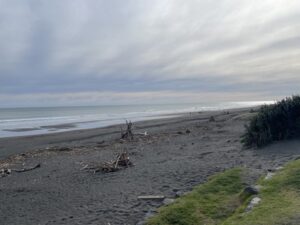 Fitzroy Beach Holiday Park