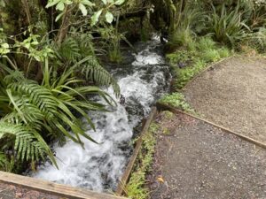 Dawson falls