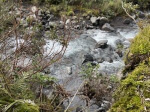 Dawson falls