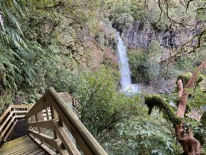 Dawson falls