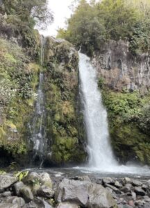Dawson falls