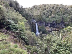 Dawson falls