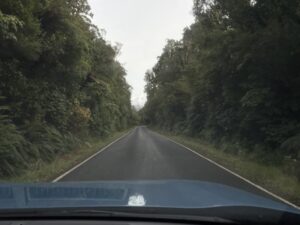 マウント・タラナキの吊り橋