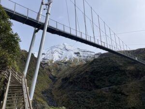 マウント・タラナキの吊り橋