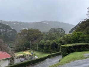 ウェリントン植物園