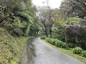 ウェリントン植物園