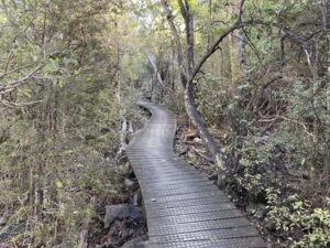 カフランギ国立公園
