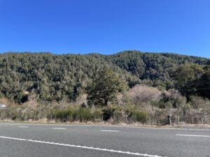 ファウルウインド岬