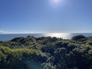 ファウルウインド岬