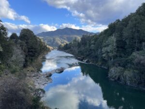 Buller river bridge viewpoint