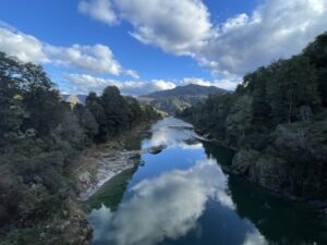 Buller river bridge viewpoint