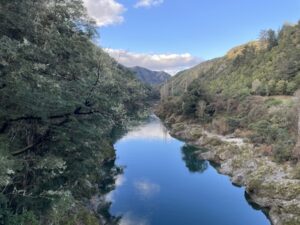 Buller river bridge viewpoint