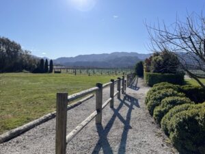 The Vines Village