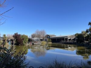 The Vines Village