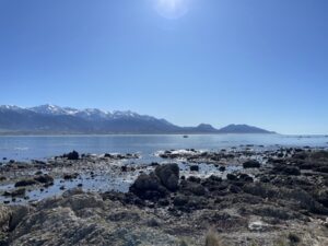 カイコウラの海岸沿い