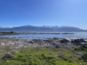 カイコウラの海岸沿い