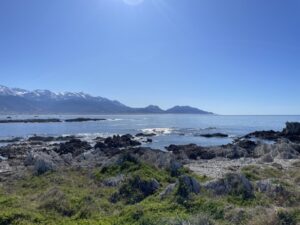カイコウラの海岸沿い