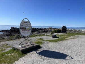 カイコウラの海岸沿い