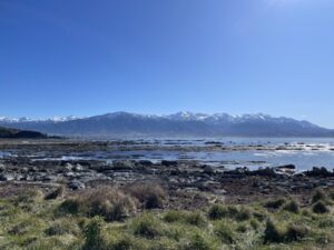 カイコウラ半島ウォークウェイ
