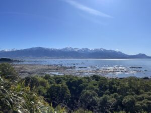カイコウラ半島ウォークウェイ