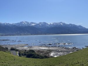 カイコウラ半島ウォークウェイ