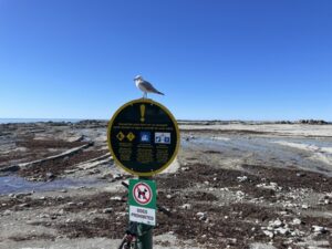 カイコウラ半島ウォークウェイ
