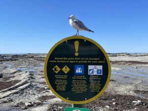 カイコウラ半島ウォークウェイ