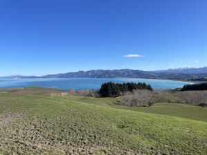 kaikoura lookout