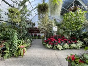 クライストチャーチ植物園