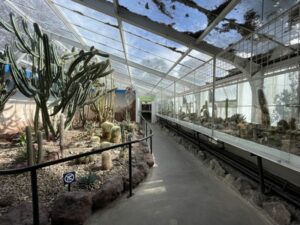 クライストチャーチ植物園