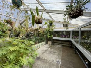 クライストチャーチ植物園