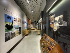 クライストチャーチ植物園