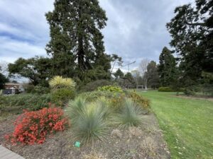 クライストチャーチ植物園
