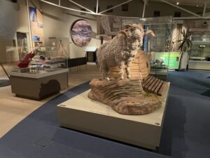 オタゴ博物館