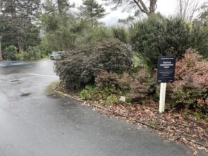 ダニーデン植物園
