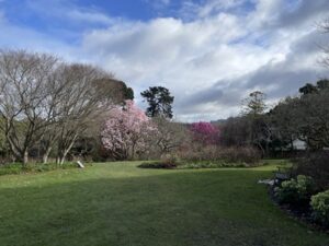 ダニーデン植物園