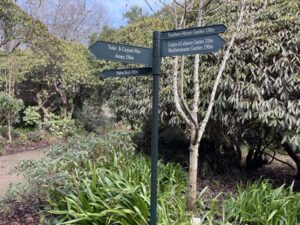 ダニーデン植物園