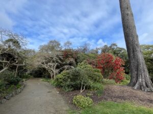 ダニーデン植物園